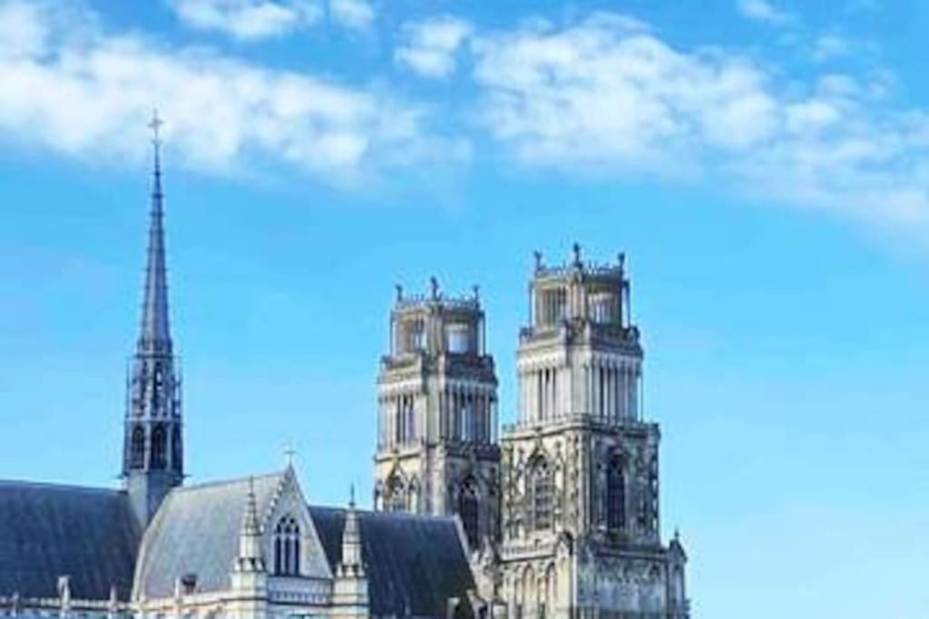 Superbe Appartement En Coeur De Ville Orléans Dış mekan fotoğraf