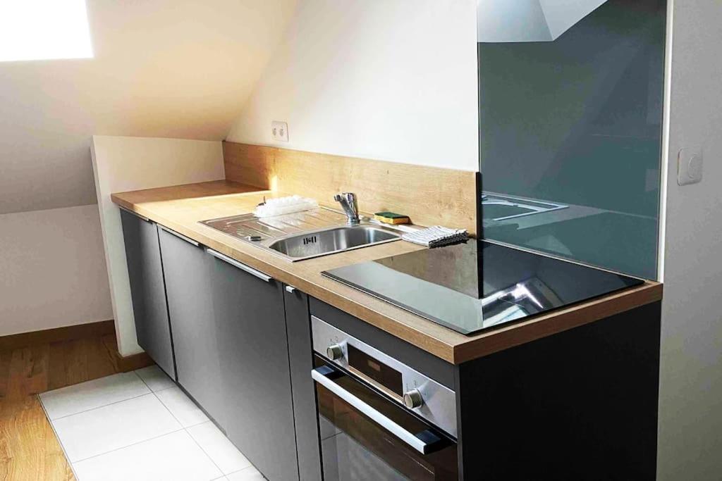 Superbe Appartement En Coeur De Ville Orléans Dış mekan fotoğraf